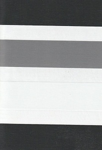 Рулонные шторы день-ночь для проема Салерно, серый 2002 купить в Клине с доставкой